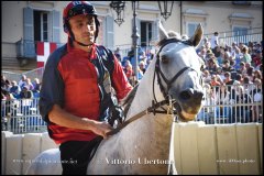 PALIO DI ASTI anno 2024 - 30 agosto 2024 piazza Alfieri Prove cavalli - fotografia di Vittorio Ubertone  https://www.400asa.photo - https:/www.www.saporidelpiemonte.net