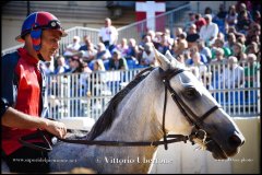 PALIO DI ASTI anno 2024 - 30 agosto 2024 piazza Alfieri Prove cavalli - fotografia di Vittorio Ubertone  https://www.400asa.photo - https:/www.www.saporidelpiemonte.net