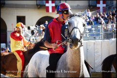 PALIO DI ASTI anno 2024 - 30 agosto 2024 piazza Alfieri Prove cavalli - fotografia di Vittorio Ubertone  https://www.400asa.photo - https:/www.www.saporidelpiemonte.net