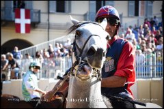 PALIO DI ASTI anno 2024 - 30 agosto 2024 piazza Alfieri Prove cavalli - fotografia di Vittorio Ubertone  https://www.400asa.photo - https:/www.www.saporidelpiemonte.net