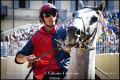 PALIO DI ASTI anno 2024 - 30 agosto 2024 piazza Alfieri Prove cavalli - fotografia di Vittorio Ubertone  https://www.400asa.photo - https:/www.www.saporidelpiemonte.net