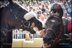 PALIO DI ASTI anno 2024 - 30 agosto 2024 piazza Alfieri Prove cavalli - fotografia di Vittorio Ubertone  https://www.400asa.photo - https:/www.www.saporidelpiemonte.net