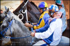 PALIO DI ASTI anno 2024 - 30 agosto 2024 piazza Alfieri Prove cavalli - fotografia di Vittorio Ubertone  https://www.400asa.photo - https:/www.www.saporidelpiemonte.net