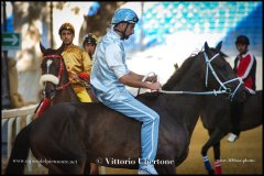 PALIO DI ASTI anno 2024 - 30 agosto 2024 piazza Alfieri Prove cavalli - fotografia di Vittorio Ubertone  https://www.400asa.photo - https:/www.www.saporidelpiemonte.net