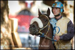 PALIO DI ASTI anno 2024 - 30 agosto 2024 piazza Alfieri Prove cavalli - fotografia di Vittorio Ubertone  https://www.400asa.photo - https:/www.www.saporidelpiemonte.net