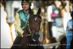 PALIO DI ASTI anno 2024 - 30 agosto 2024 piazza Alfieri Prove cavalli - fotografia di Vittorio Ubertone  https://www.400asa.photo - https:/www.www.saporidelpiemonte.net