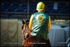 PALIO DI ASTI anno 2024 - 30 agosto 2024 piazza Alfieri Prove cavalli - fotografia di Vittorio Ubertone  https://www.400asa.photo - https:/www.www.saporidelpiemonte.net