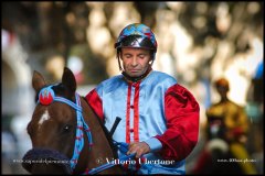 PALIO DI ASTI anno 2024 - 30 agosto 2024 piazza Alfieri Prove cavalli - fotografia di Vittorio Ubertone  https://www.400asa.photo - https:/www.www.saporidelpiemonte.net