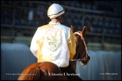 PALIO DI ASTI anno 2024 - 30 agosto 2024 piazza Alfieri Prove cavalli - fotografia di Vittorio Ubertone  https://www.400asa.photo - https:/www.www.saporidelpiemonte.net