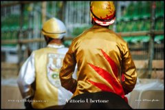 PALIO DI ASTI anno 2024 - 30 agosto 2024 piazza Alfieri Prove cavalli - fotografia di Vittorio Ubertone  https://www.400asa.photo - https:/www.www.saporidelpiemonte.net