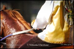 PALIO DI ASTI anno 2024 - 30 agosto 2024 piazza Alfieri Prove cavalli - fotografia di Vittorio Ubertone  https://www.400asa.photo - https:/www.www.saporidelpiemonte.net