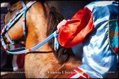 PALIO DI ASTI anno 2024 - 30 agosto 2024 piazza Alfieri Prove cavalli - fotografia di Vittorio Ubertone  https://www.400asa.photo - https:/www.www.saporidelpiemonte.net