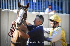 PALIO DI ASTI anno 2024 - 30 agosto 2024 piazza Alfieri Prove cavalli - fotografia di Vittorio Ubertone  https://www.400asa.photo - https:/www.www.saporidelpiemonte.net