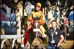 PALIO DI ASTI anno 2024 - 30 agosto 2024 piazza Alfieri Prove cavalli - fotografia di Vittorio Ubertone  https://www.400asa.photo - https:/www.www.saporidelpiemonte.net