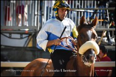 PALIO DI ASTI anno 2024 - 30 agosto 2024 piazza Alfieri Prove cavalli - fotografia di Vittorio Ubertone  https://www.400asa.photo - https:/www.www.saporidelpiemonte.net