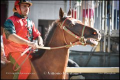 PALIO DI ASTI anno 2024 - 30 agosto 2024 piazza Alfieri Prove cavalli - fotografia di Vittorio Ubertone  https://www.400asa.photo - https:/www.www.saporidelpiemonte.net