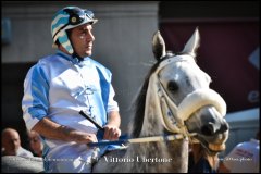 PALIO DI ASTI anno 2024 - 30 agosto 2024 piazza Alfieri Prove cavalli - fotografia di Vittorio Ubertone  https://www.400asa.photo - https:/www.www.saporidelpiemonte.net