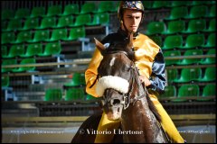 PALIO DI ASTI anno 2024 - 30 agosto 2024 piazza Alfieri Prove cavalli - fotografia di Vittorio Ubertone  https://www.400asa.photo - https:/www.www.saporidelpiemonte.net