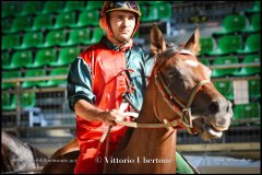 PALIO DI ASTI anno 2024 - 30 agosto 2024 piazza Alfieri Prove cavalli - fotografia di Vittorio Ubertone  https://www.400asa.photo - https:/www.www.saporidelpiemonte.net