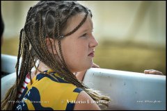 PALIO DI ASTI anno 2024 - 30 agosto 2024 piazza Alfieri Prove cavalli - fotografia di Vittorio Ubertone  https://www.400asa.photo - https:/www.www.saporidelpiemonte.net