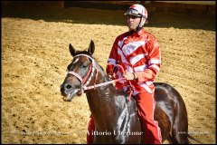 PALIO DI ASTI anno 2024 - 30 agosto 2024 piazza Alfieri Prove cavalli - fotografia di Vittorio Ubertone  https://www.400asa.photo - https:/www.www.saporidelpiemonte.net