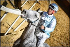 PALIO DI ASTI anno 2024 - 30 agosto 2024 piazza Alfieri Prove cavalli - fotografia di Vittorio Ubertone  https://www.400asa.photo - https:/www.www.saporidelpiemonte.net