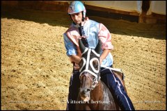 PALIO DI ASTI anno 2024 - 30 agosto 2024 piazza Alfieri Prove cavalli - fotografia di Vittorio Ubertone  https://www.400asa.photo - https:/www.www.saporidelpiemonte.net