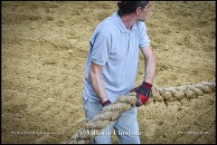 PALIO DI ASTI anno 2024 - 30 agosto 2024 piazza Alfieri Prove cavalli - fotografia di Vittorio Ubertone  https://www.400asa.photo - https:/www.www.saporidelpiemonte.net