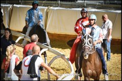 PALIO DI ASTI anno 2024 - 30 agosto 2024 piazza Alfieri Prove cavalli - fotografia di Vittorio Ubertone  https://www.400asa.photo - https:/www.www.saporidelpiemonte.net