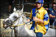 PALIO DI ASTI anno 2024 - 30 agosto 2024 piazza Alfieri Prove cavalli - fotografia di Vittorio Ubertone  https://www.400asa.photo - https:/www.www.saporidelpiemonte.net