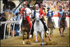 PALIO DI ASTI anno 2024 - Il Rione Torretta con il fantino Antonio Siri vince il Palio anno 2024 -s 1 settembre 2024 - fotografia di Vittorio Ubertone  https://www.400asa.photo - https://www.saporidelpiemonte.net