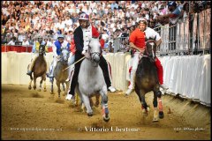 PALIO DI ASTI anno 2024 - Il Rione Torretta con il fantino Antonio Siri vince il Palio anno 2024 -s 1 settembre 2024 - fotografia di Vittorio Ubertone  https://www.400asa.photo - https://www.saporidelpiemonte.net