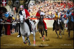 PALIO DI ASTI anno 2024 - Il Rione Torretta con il fantino Antonio Siri vince il Palio anno 2024 -s 1 settembre 2024 - fotografia di Vittorio Ubertone  https://www.400asa.photo - https://www.saporidelpiemonte.net